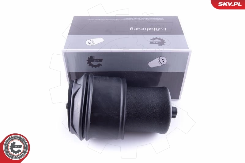 Air Spring, suspension